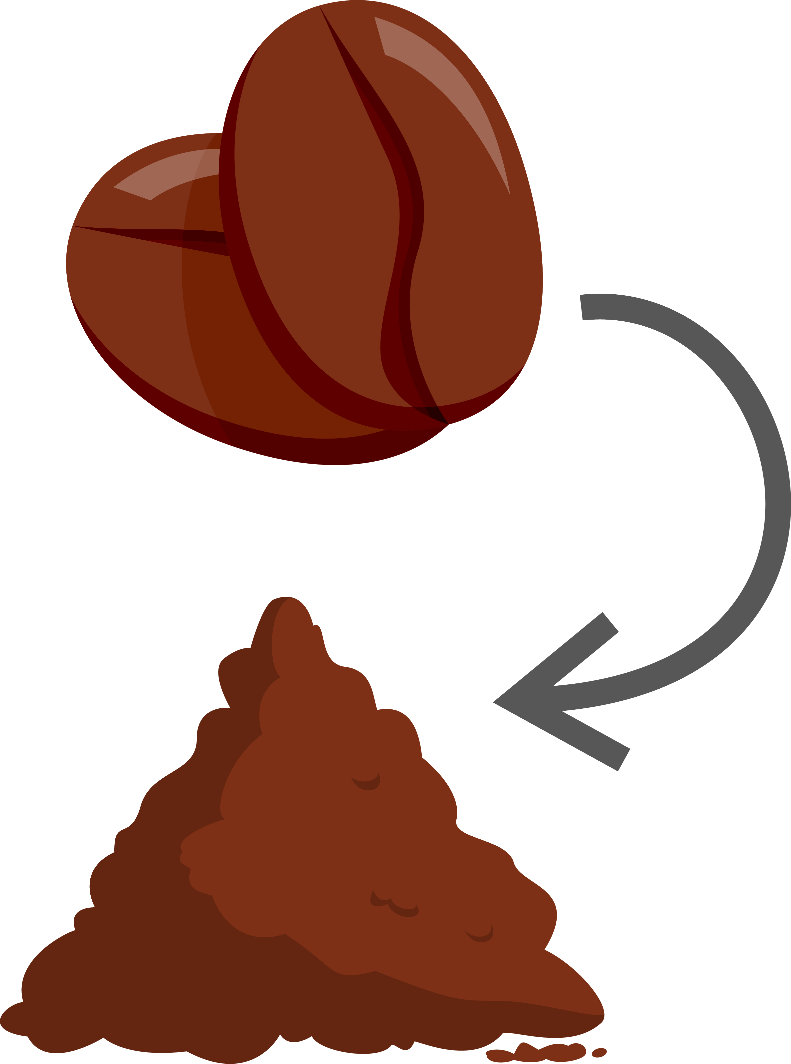 Food Composting Albany Recycles