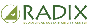 Radix Logo